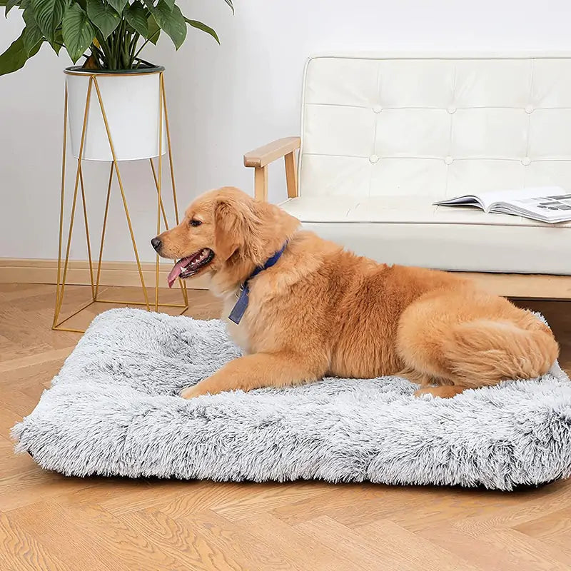 Plush Washable Bed