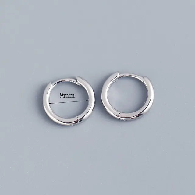 Stainless Steel Minimalist Hoop Earrings